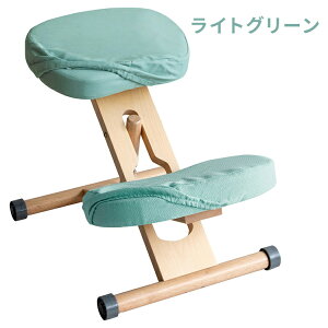 MIYATAKE �{�����쏊 �v���|�[�V�����`�F�A�p�ւ��J�o�[ ���C�g�O���[��(���ʂƕG��2���Z�b�g)