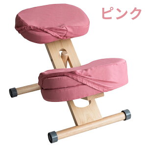 MIYATAKE �{�����쏊 �v���|�[�V�����`�F�A�L�b�Y�p�ւ��J�o�[ �s���N(���ʂƕG2���3���Z�b�g)