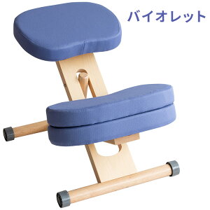 MIYATAKE �{�����쏊 �N�b�V�����t���v���|�[�V�����`�F�A�L�b�Y(�i�`�������r) �o�C�I���b�g CH-N889CK