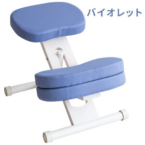 MIYATAKE �{�����쏊 �N�b�V�����t���v���|�[�V�����`�F�A�L�b�Y(�z���C�g�r) �o�C�I���b�g CH-N889CK