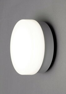IRIS OHYAMA �A�C���X�I�[���} IRCL5N-CIPLS-BS �V���o�[ �|�[�`������ 500lm�����F