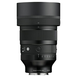 �y���w���O�ɁA�[�����⍇�����������z SIGMA �V�O�} 85mm F1.2 DG ART �t���T�C�Y�p����a���]�������Y �\�j�[E�}�E���g�p Sony E�}�E���g