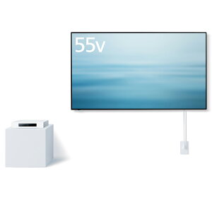 X݌ɌI Panasonic pi\jbN TH-55LW1L 55V^ 4K_u`[i[L@ELer yEBnEkCȆ̗͔zsz yzԎwsz