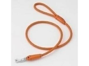 Petio yeBI AhCg Maniera [h M IW