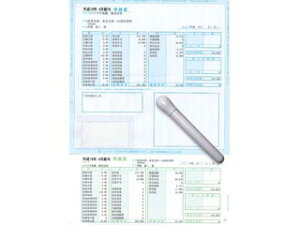 \}` SR211 ^׏(^)300