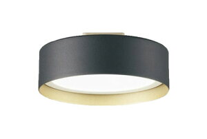 DAIKO d@ DXL-81480C@LED^V[OCg F(6500K)(pEVtp)Teh