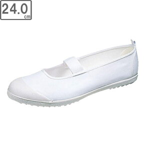 ASAHI/ATqV[Y KD38001 ATqnCXN[tA[ VKy24.0cmE2Ez (zCg)