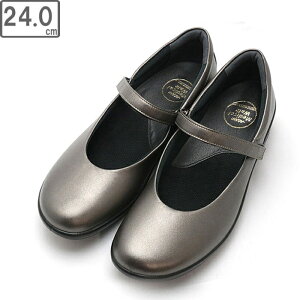 ASAHI ATqV[Y ATqfBJEH[N AMW CC L013 uY^bN 24cm KV30092