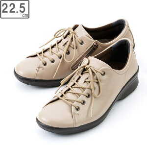 ASAHI ATqV[Y ATqfBJEH[N AMW CC L027 x[W 22.5cm KV30111