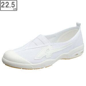 ASAHI ATqV[Y KD38581 ATqhCXN[009ECy22.5cmE2Ez (zCg)