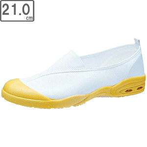 ASAHI ATqV[Y KD38573 ATqhCXN[008ECy21.0cmE2Ez (CG[)