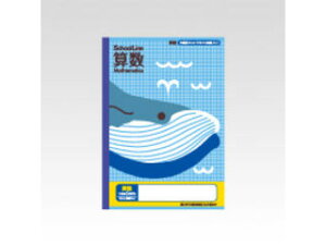 {m[g Ȗږ XN[C Z 5mmr 10mm SLS10MT