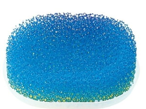 MARNA }[i W152@X|WΌu(Mt) yu[z