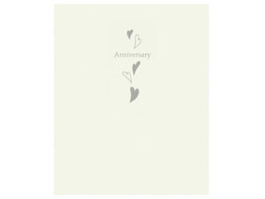 HAKUBA ハクバ M710-6T-2 普通台紙 No.710 6切サイズ 2面(タテ・タテ)