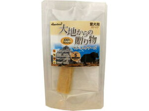 PetProJapan ybgvWp n̑蕨 N~N`[Y S 1{ n[h^CvE^p