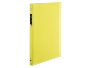 maruman/}} ZvgN[ t@Cm[g B5 CG[ F007B-04 vX`bNoC_[ ^B5i26j