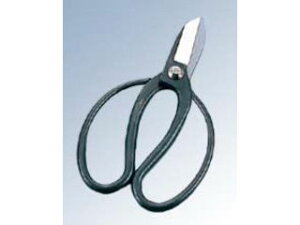 KANESHIKA H쏊 |pnT~@×