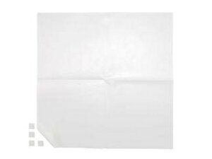 TokyoQueen NC CCi@ƖpGARtB^[i3j