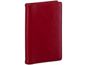 RF/Raymay Fujii/���C���C �V�X�e���蒠 JDP3009Z