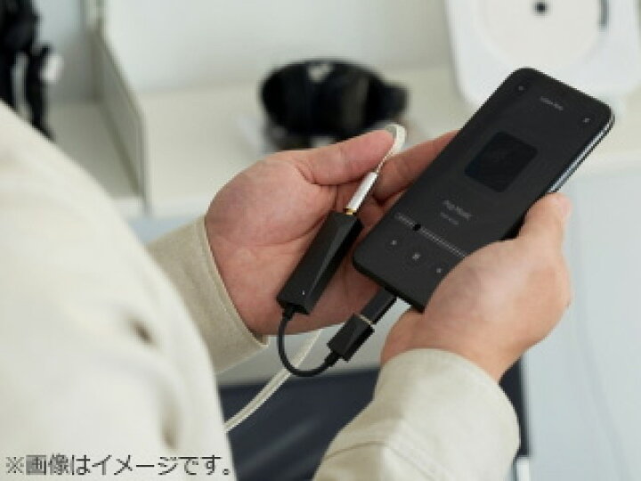 楽天市場】Astell&Kern IRV-AK-HC3 Dark Gray ポータブルUSB-DAC 