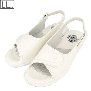 purewalker sAEH[J[ yfB[XzItBXT_ vtFbVi PW8501 ÓdCh~ OOK Xj[J[\[ GANbV ۖhL \ q[4cm