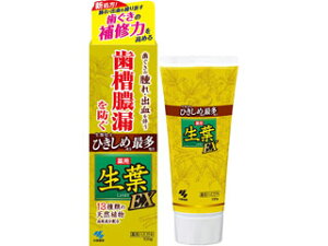 KOBAYASHI ѐ tEX100g