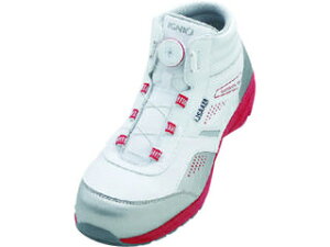 Alpen/Ay IGNIO _CZ[teBV[Y A zCg26.5cm IGS1058TGF-WH26.5