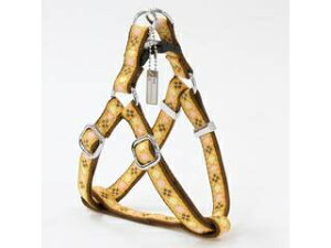 Petio yeBI AhCg A[KCn[lX S IW