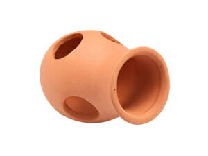 GEX WFbNX i fẲB ڃ~j