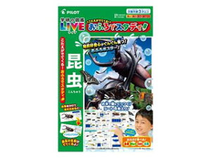 pCbg łĂIӂŃX^fBIw̐}LIVE 4977554614594