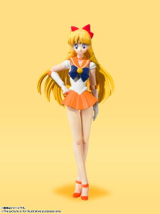 BANDAI SPIRITS o_CXsbc ʌ S.H.Figuarts Z[[B[iX-Animation Color Edition-