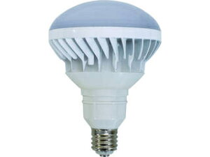 NICHIDO H LED nCXybNGRrbN40W E39 F {̔ L40V2-J110-50K