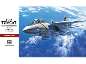 Hasegawa nZK 1/48 F-14A gLbg PT46