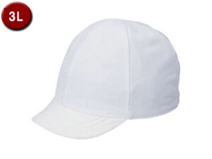 FOOTMARK@tbg}[N ̈ ̑Xq XN 101220B2 zCg(01) 3L