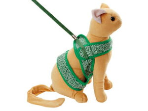 Petio yeBI L\tgn[lX[h  S O[