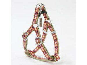 Petio yeBI AhCg A[KCn[lX S bh