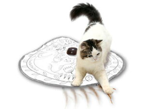 necoichi L Lb`E~[ECtE[EL2 L̂