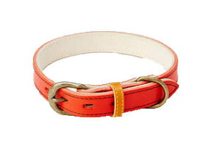 Petio yeBI AhCg AeB[NU[X^CJ[ XS bh