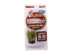 ЃA^ p 唞t͔|Zbg 6񕪃Zbg