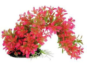 Spectrum XyNguYWp eg tLVuvg FP-3