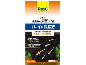 Spectrum XyNguYWp eg _J̓VR\C 2.3L