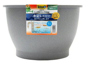 Spectrum XyNguYWp eg 傤ŃLC_J 30 ݂