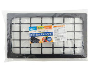 Spectrum XyNguYWp eg 傤ŃLC_J 40 pt^