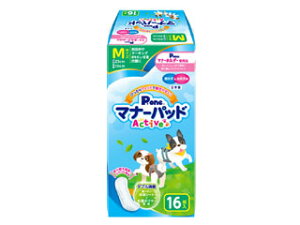 DAIICHI EIZAI q P.one j̎q̎qp }i[pbhActive MTCY 16