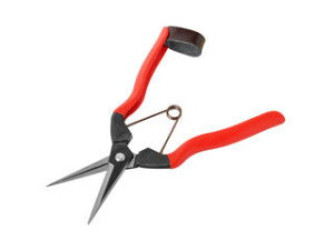 KOBAYASHI ѐ yKoshiji/zHzԎ 185mm K-10