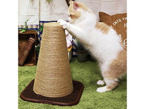 DoggyMan hM[}nV _[ XNb`ɂ|Xg L ܂Ƃ ܖ ˂ yhM[}@L@ObYz