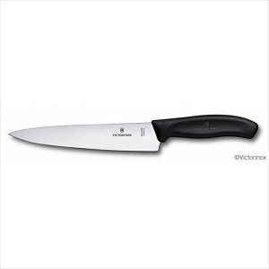 VICTORINOX rNgmbNX XCXNVbN@VFtiCt@6.8003.19E@19cm