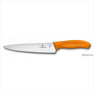 VICTORINOX rNgmbNX VFtiCt 19cm IW 6.8006.19L9E
