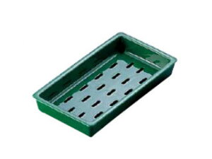 WAKAIZUMI 򎽊 PPl^󂯁@O[i󂯕tj^@O|2|28