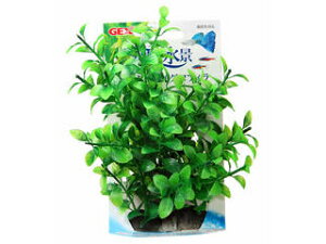 GEX WFbNX i Ղ nCOtB